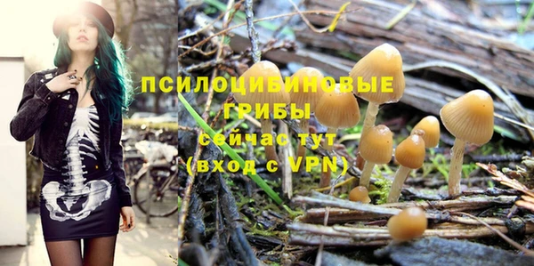 спиды Бородино