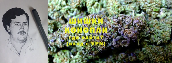 гидропоника Бугульма
