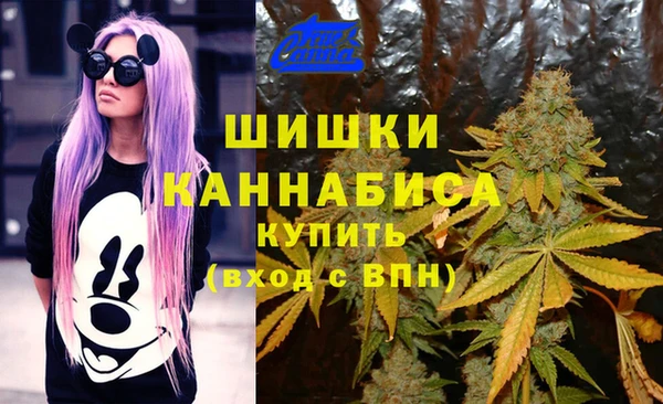 jwh Бронницы