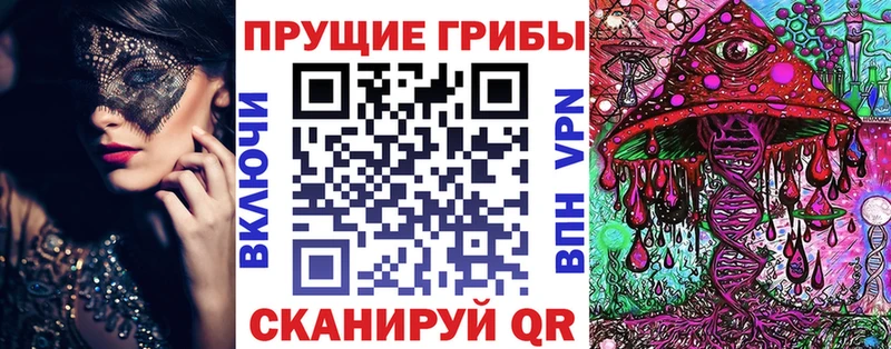 даркнет сайт  Заречный  Галлюциногенные грибы мицелий 